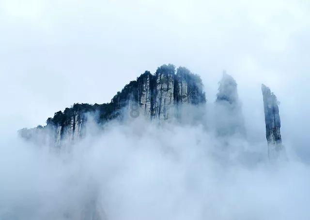 如果我肚子疼，我父母还让我做家务，该怎么办呀？