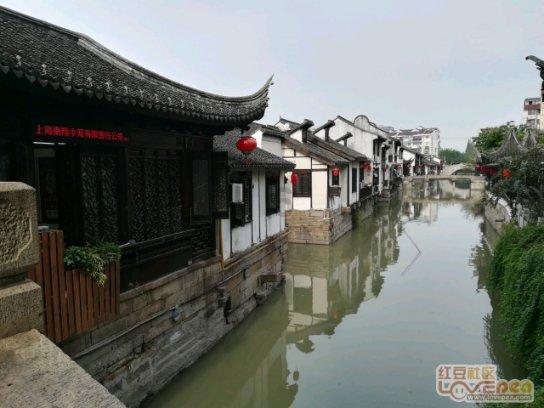 拯救小松鼠